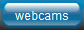 Local Web Cams