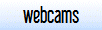 Local Web Cams