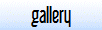 Photo Gallery
