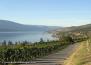 View from Grey Monk Estate Winery