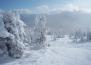 Snowghosts at Big White Ski Resort